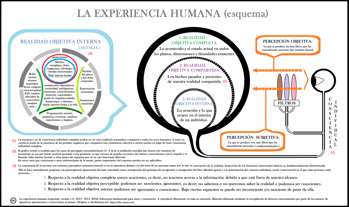 Experiencia Humana Modelo